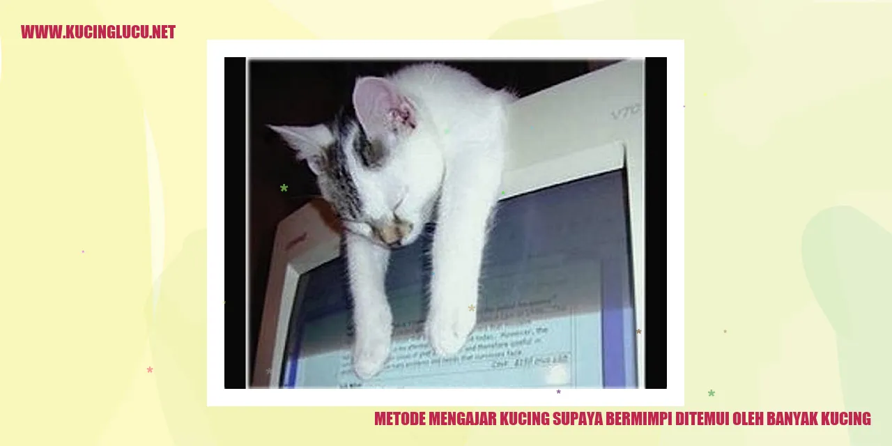 Metode Mengajar Kucing supaya Bermimpi Ditemui oleh Banyak Kucing