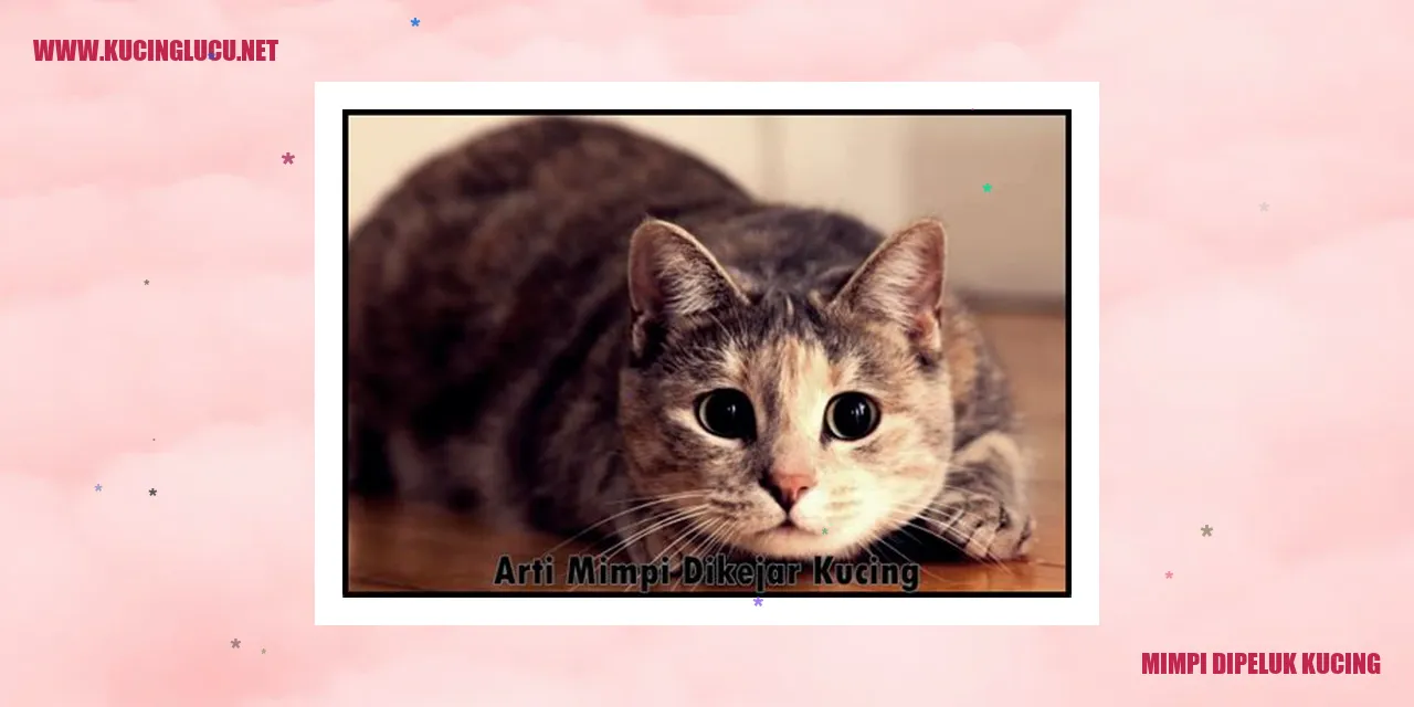 Makna Mimpi Dipeluk oleh Kucing