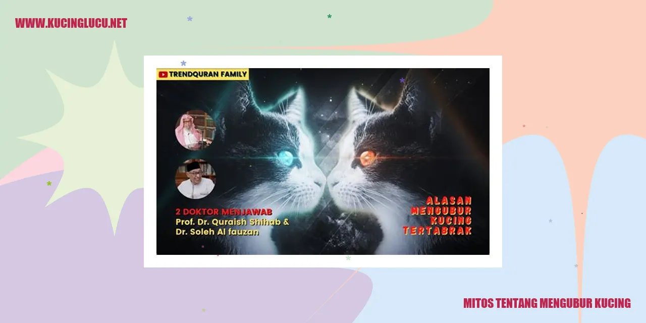 Mitos Tentang Mengubur Kucing