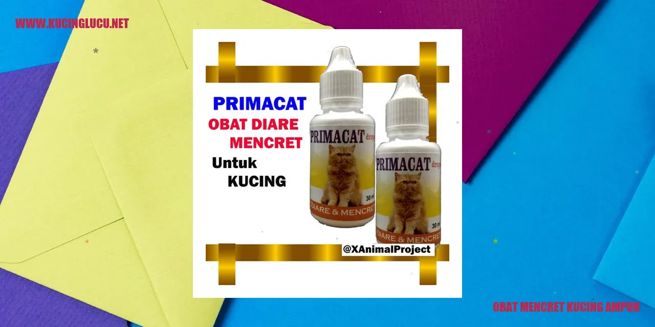 Obat Mencret Kucing Ampuh
