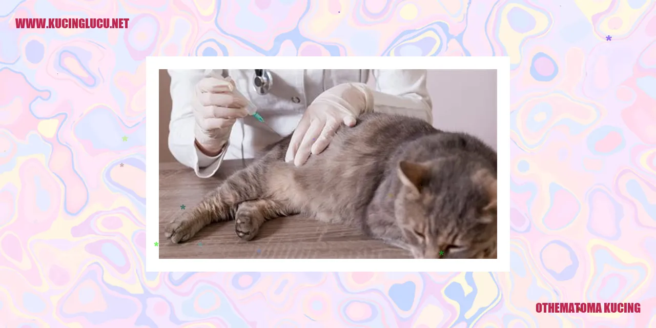 Othematoma Kucing