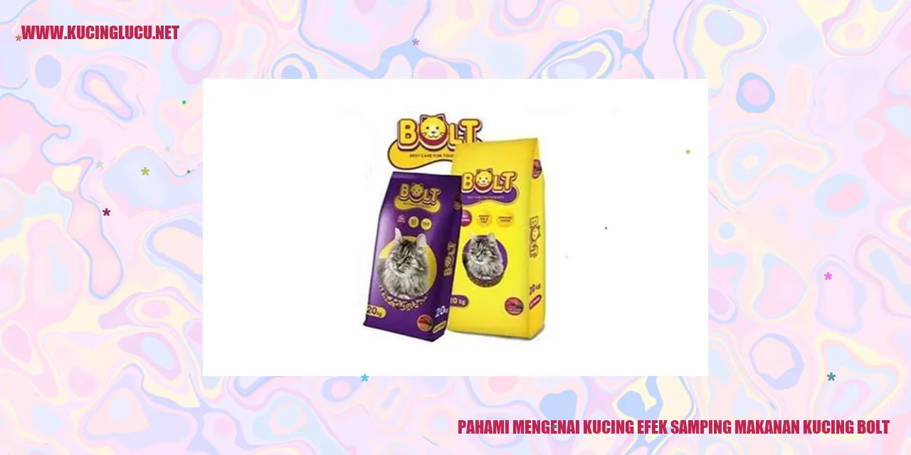 gambar kucing