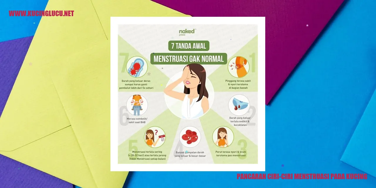 Gambar Kucing Sedang Mengalami Menstruasi
