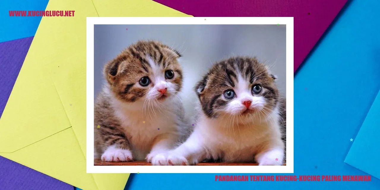 Kucing-kucing Paling Menawan
