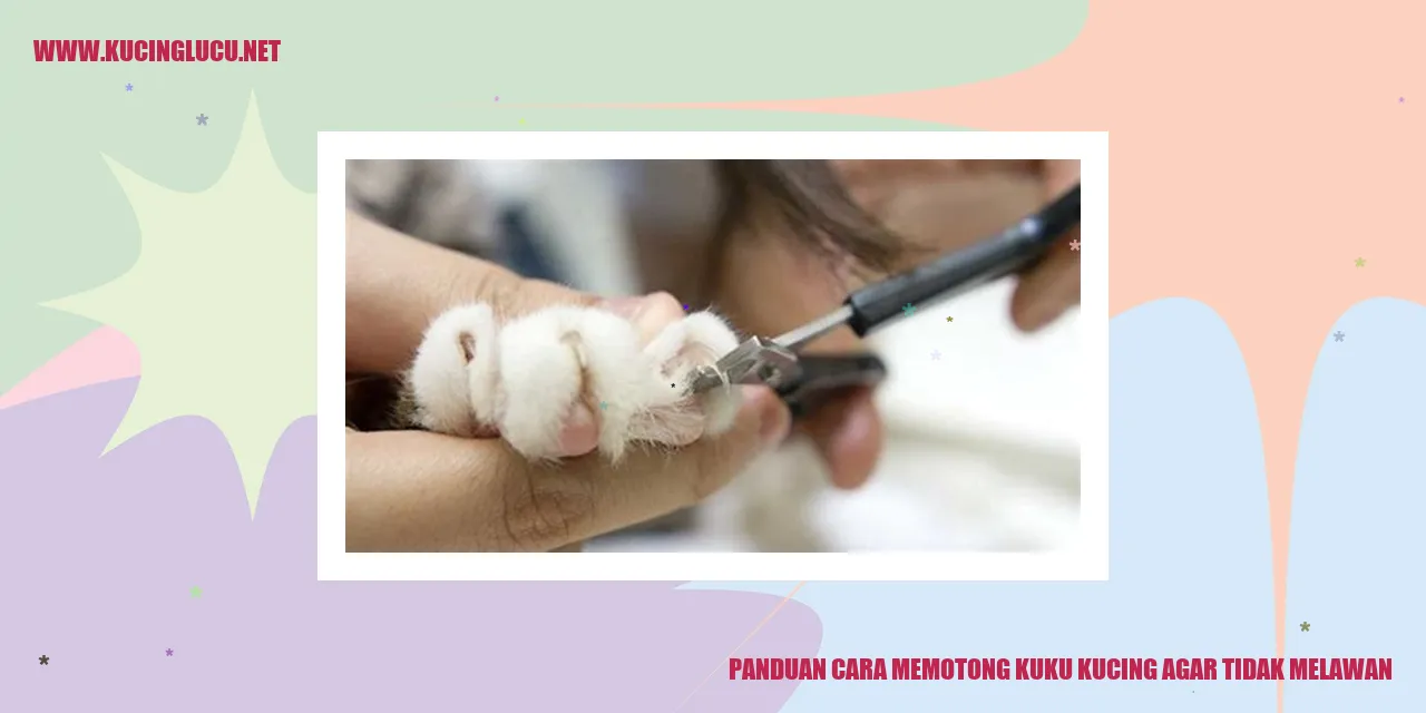 Panduan Cara Memotong Kuku Kucing agar Tidak Melawan