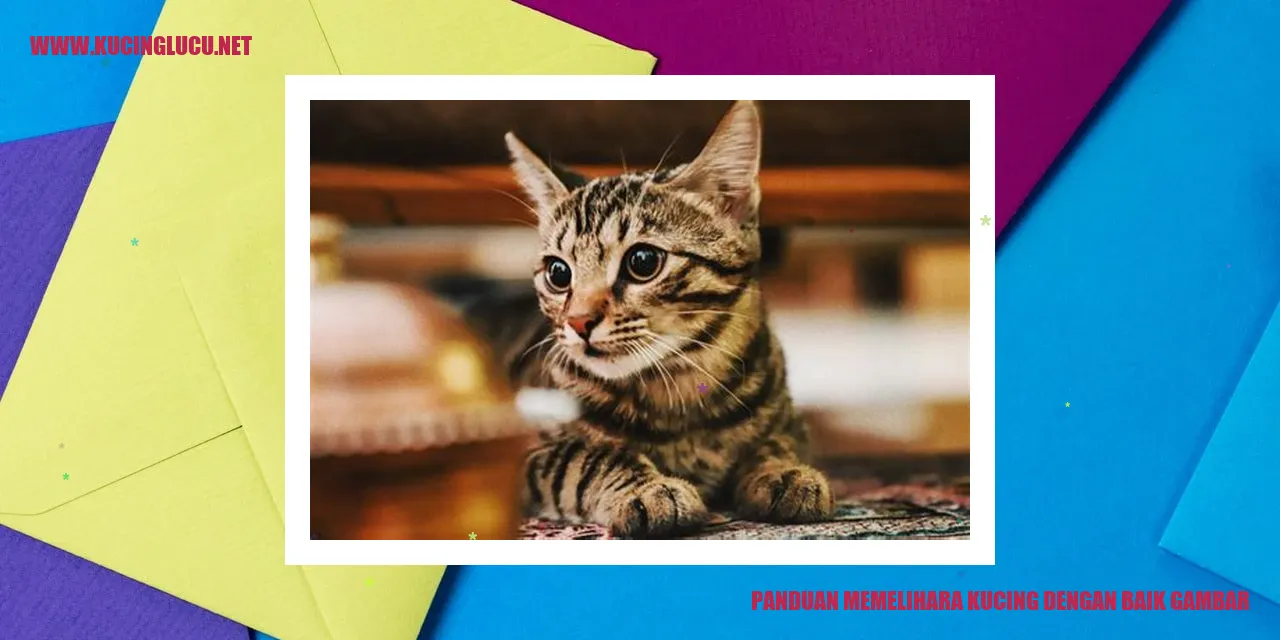 Ilustrasi seekor kucing