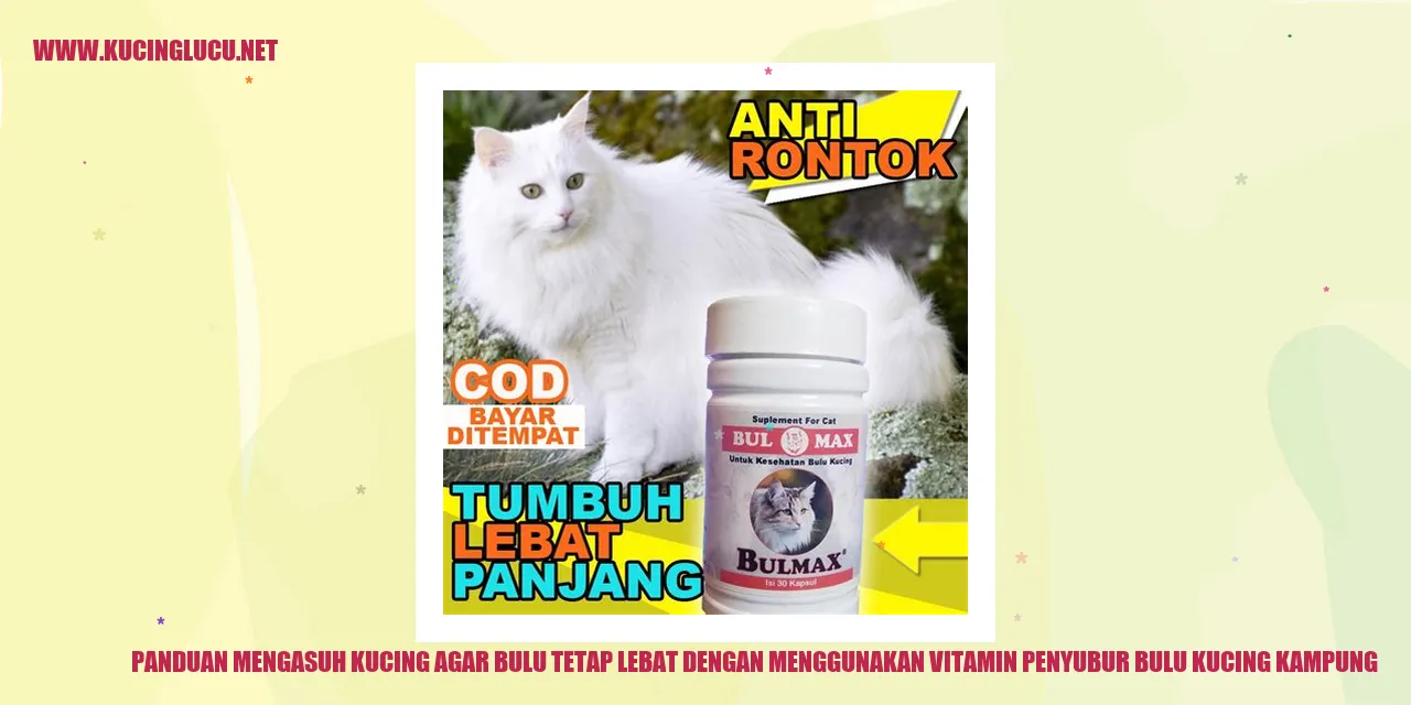 Ilustrasi Kucing