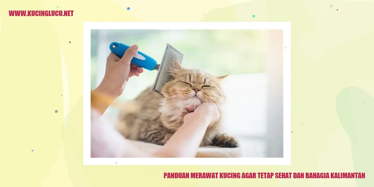 Gambar Kucing