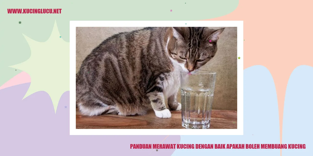 Panduan Merawat Kucing dengan Baik Apakah Boleh Membuang Kucing