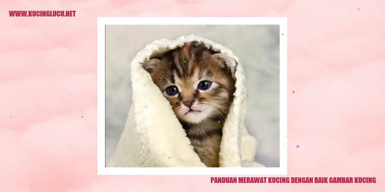Gambar Kucing
