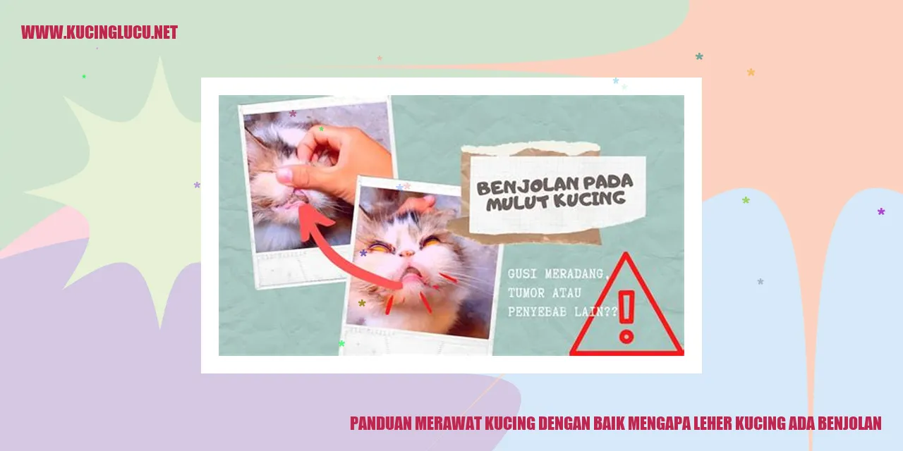 Kucing dengan Benjolan di Leher