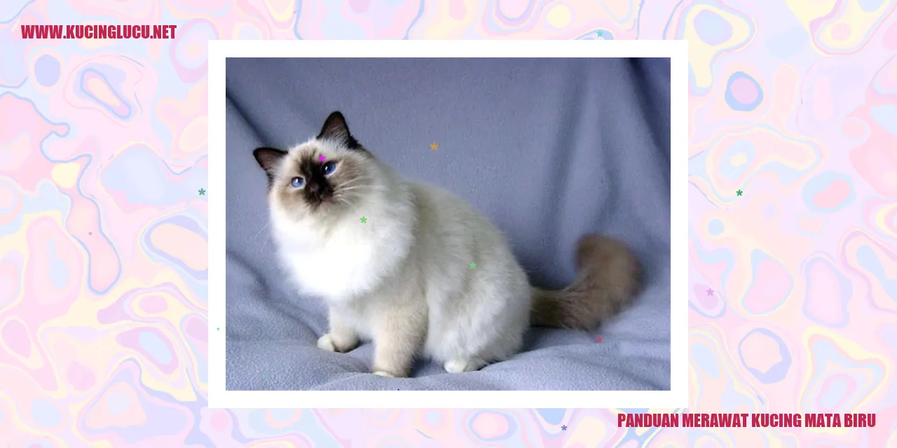 Kucing Berkepala Biru
