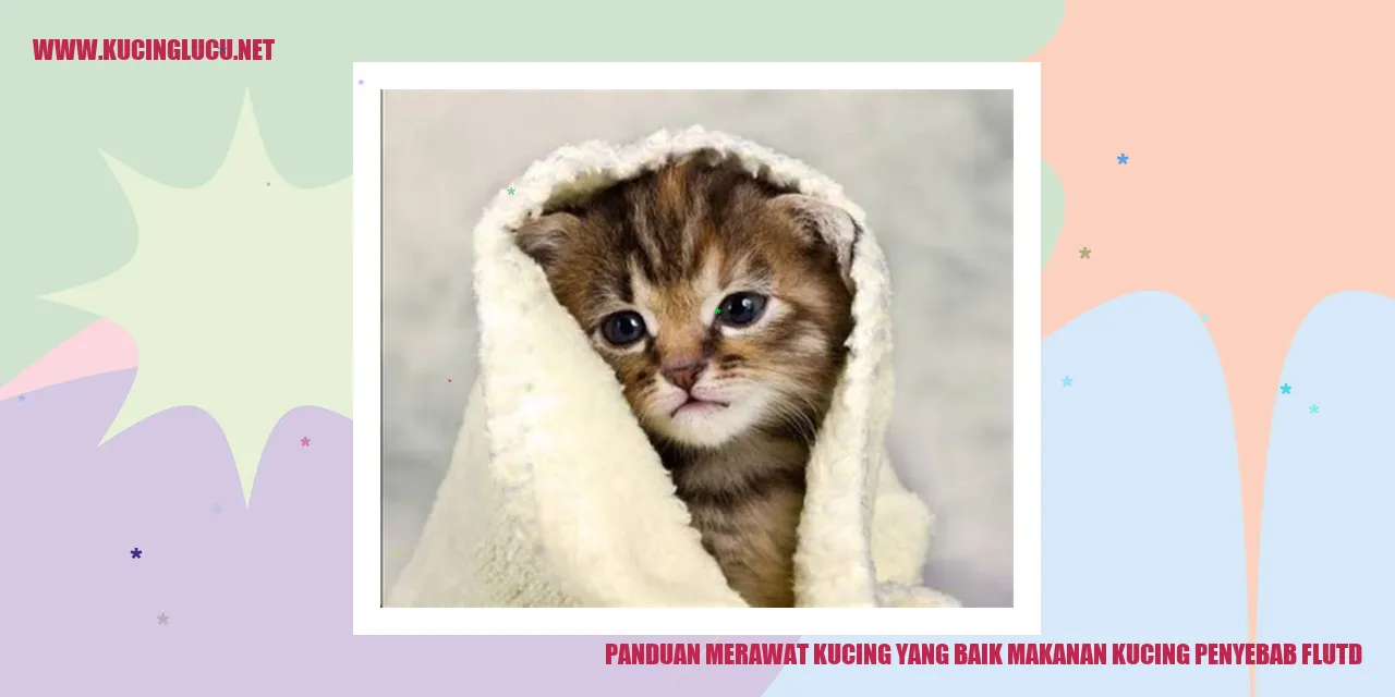 Gambar Kucing Sehat