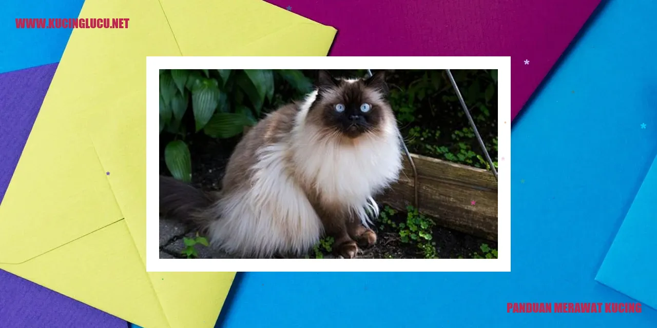 Gambar dengan quote tentang kucing
