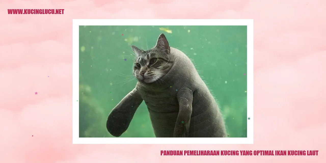 Kucing yang Sehat
