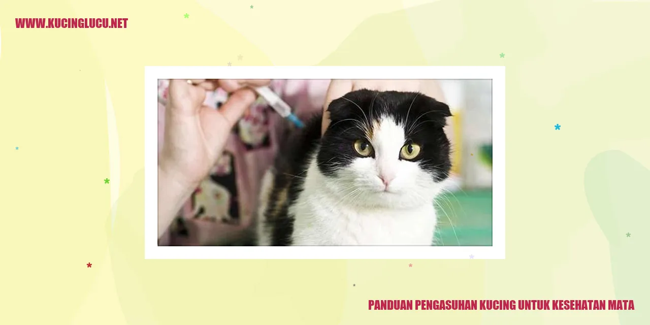 Kucing yang Menggemaskan