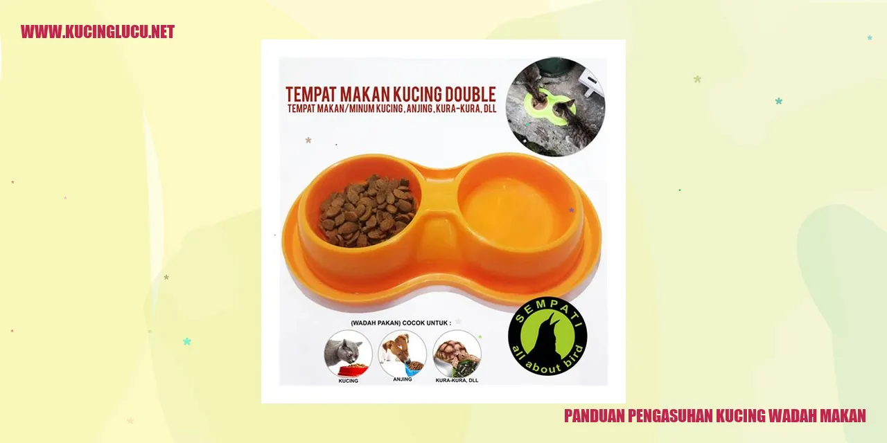 Kucing memakan makanan dari wadah