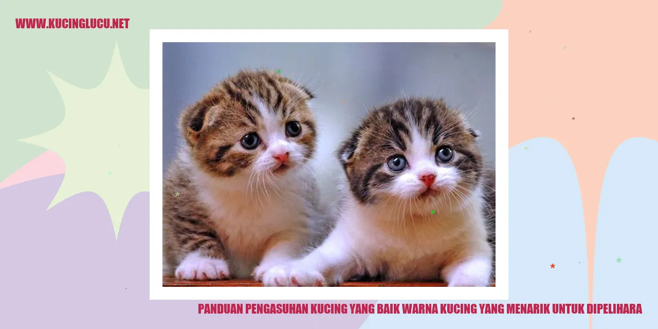 Gambar Kucing