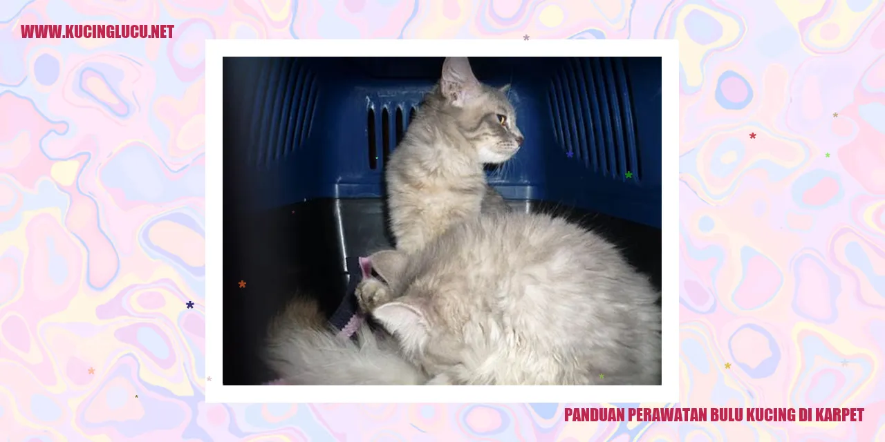 Panduan Perawatan Bulu Kucing di Karpet