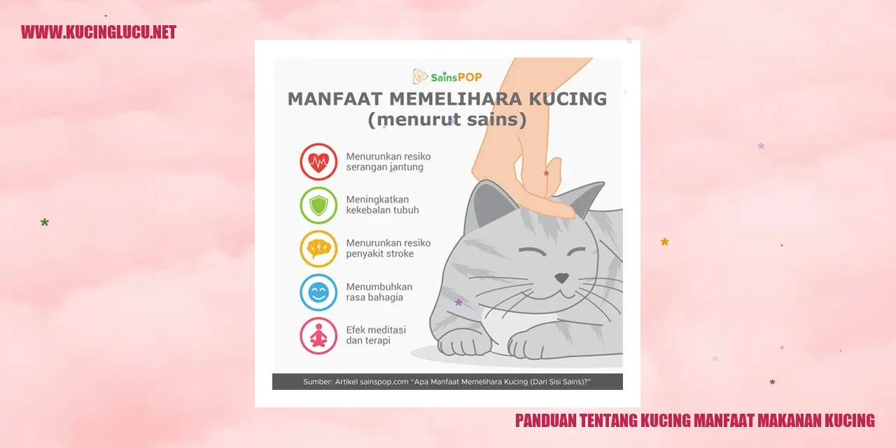 gambar kucing