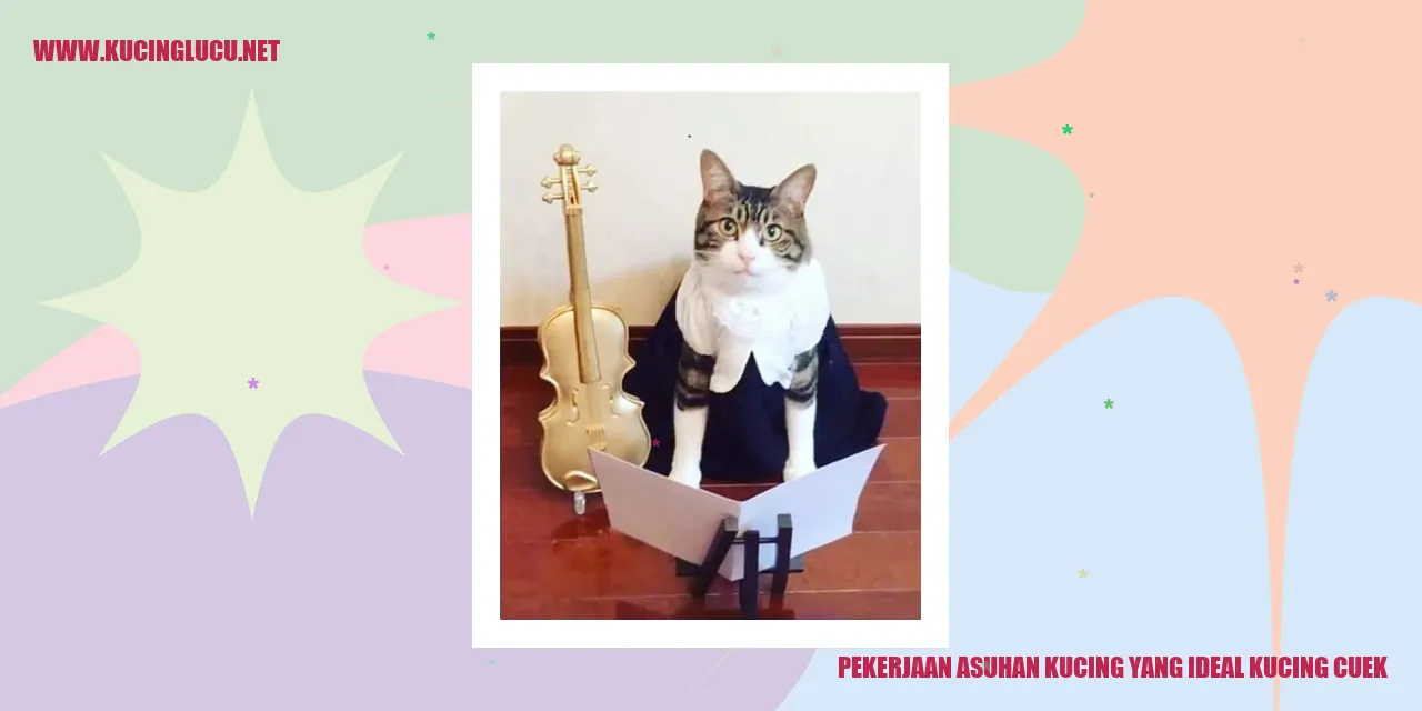 Kucing cuek