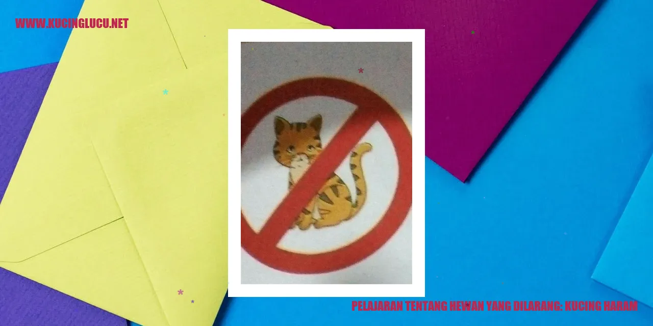 Foto kucing