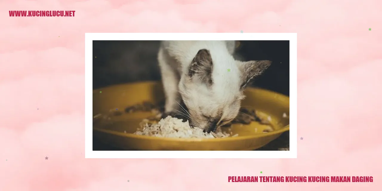 Ilustrasi kucing makan daging