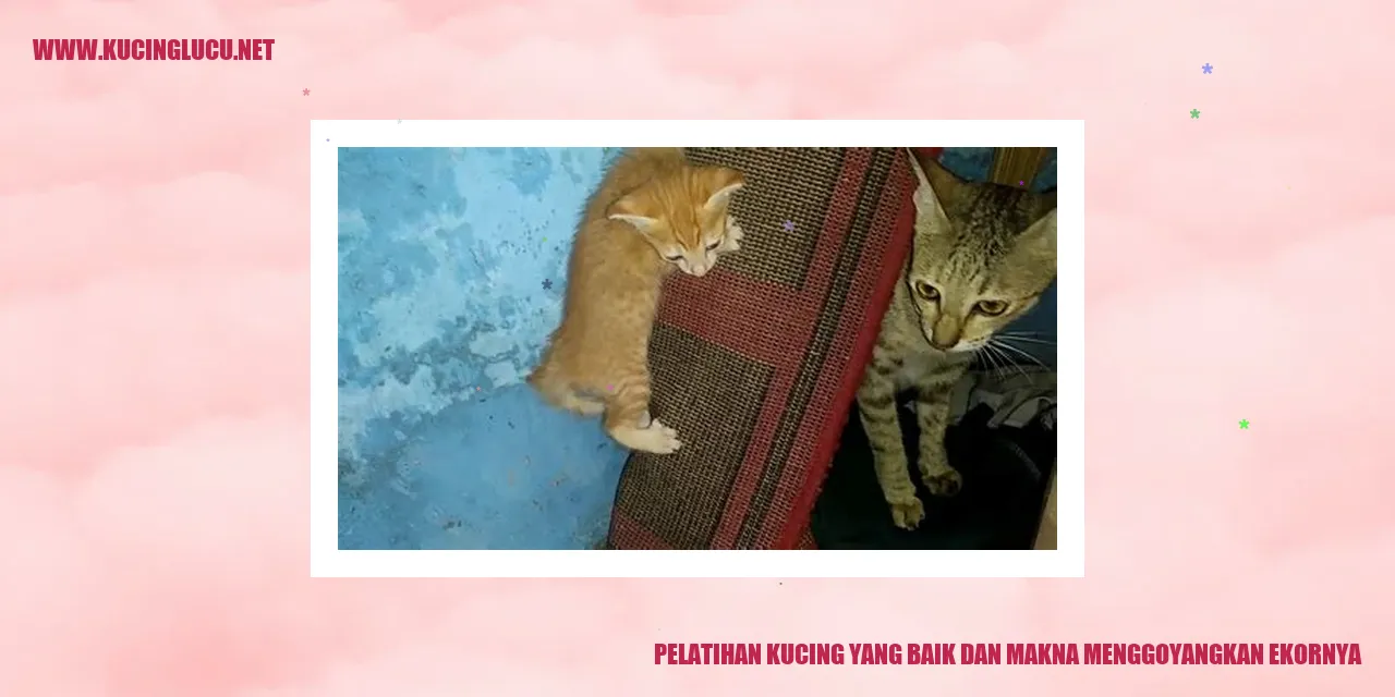 Gambar menggambarkan ekor kucing yang sedang goyang