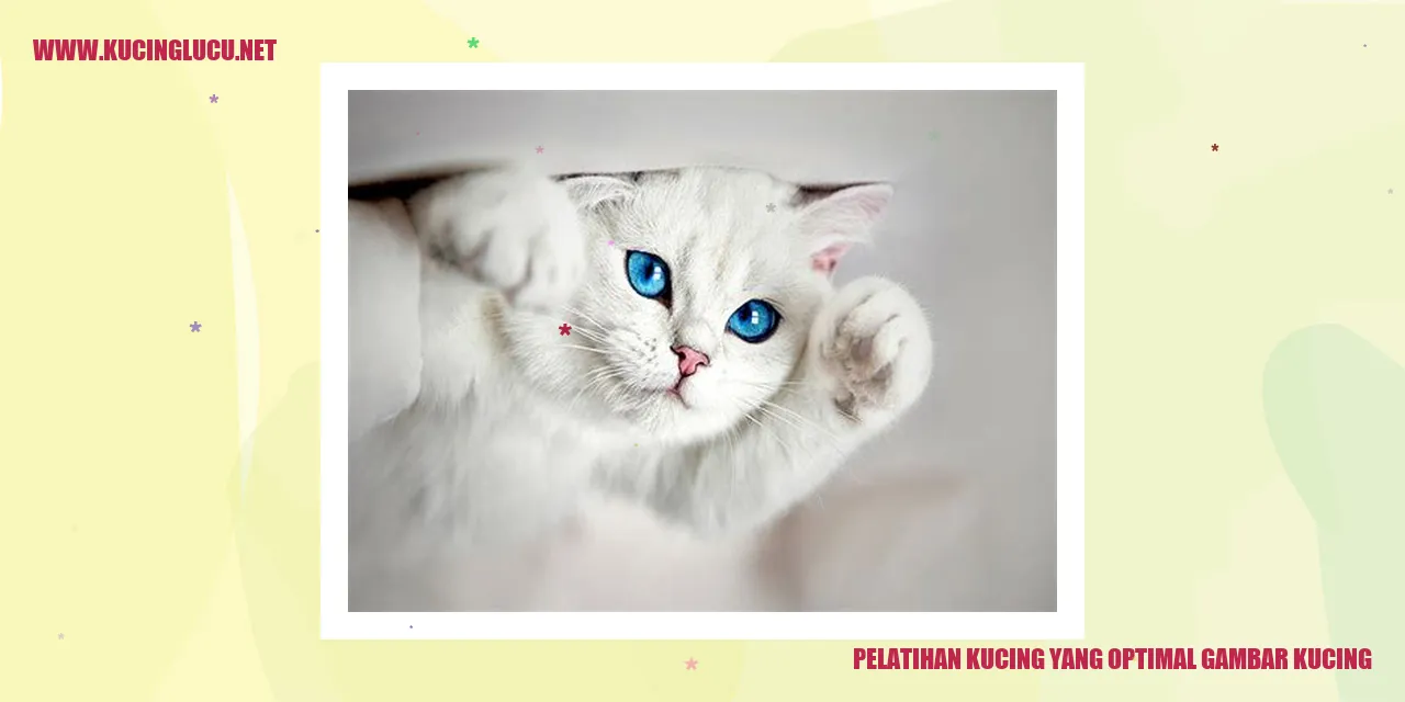 Gambar Kucing Lucu