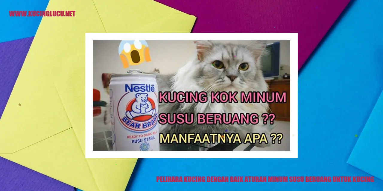 Cara Baik dalam Memelihara Kucing dengan Pemberian Susu Beruang