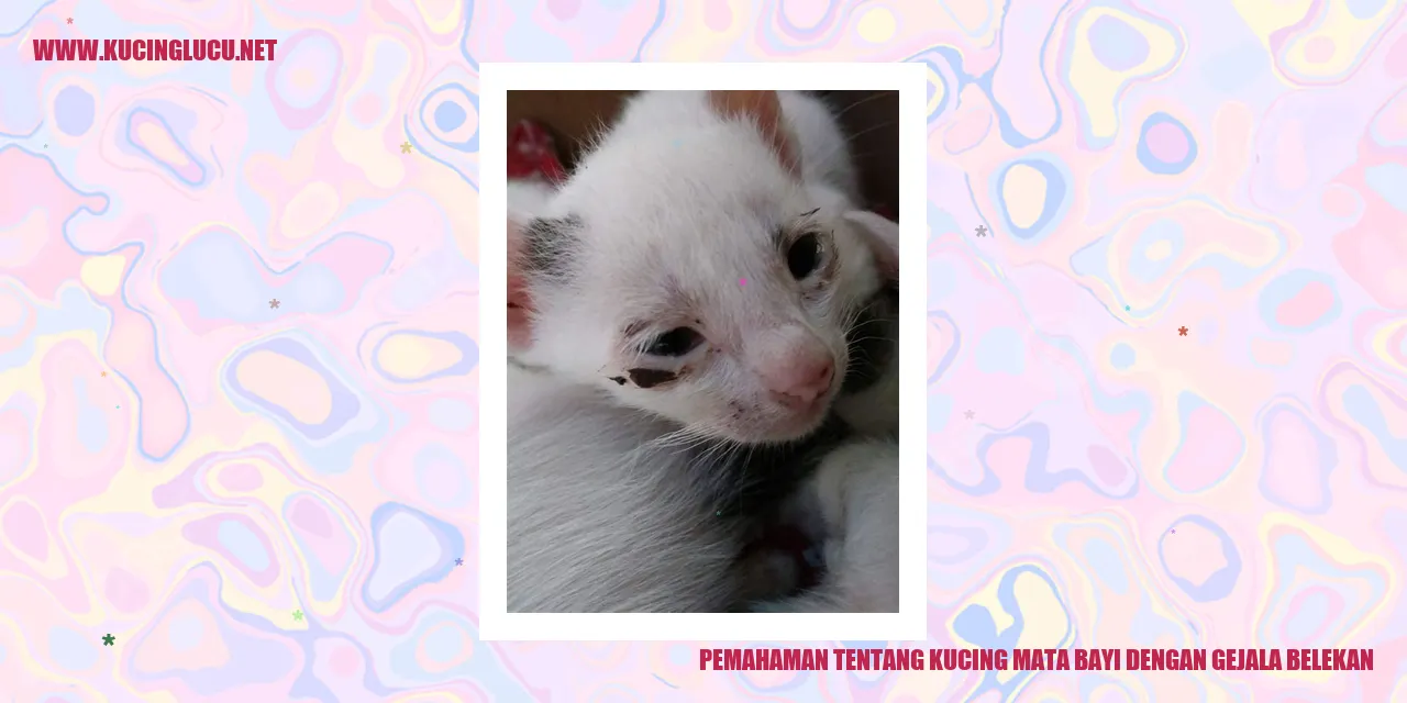 Ilustrasi Kucing Mata Bayi
