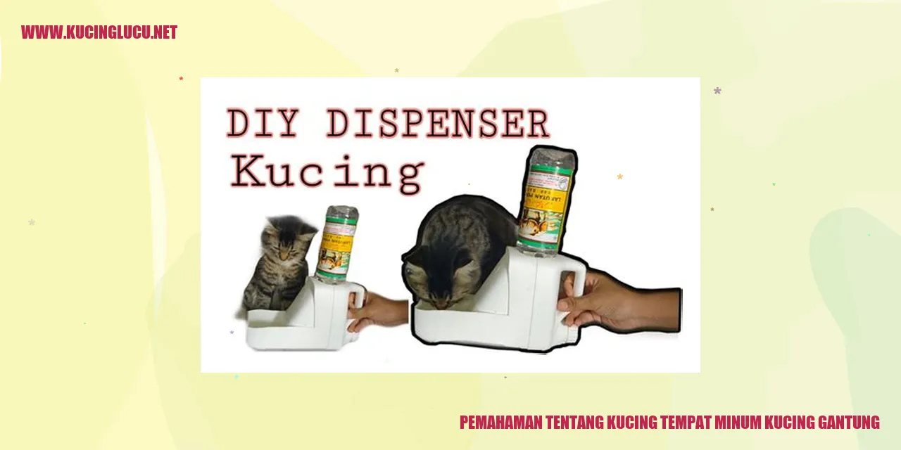 Kucing