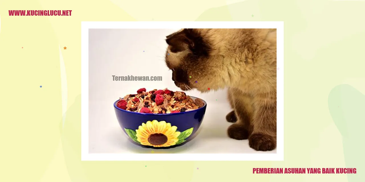 Ilustrasi kucing