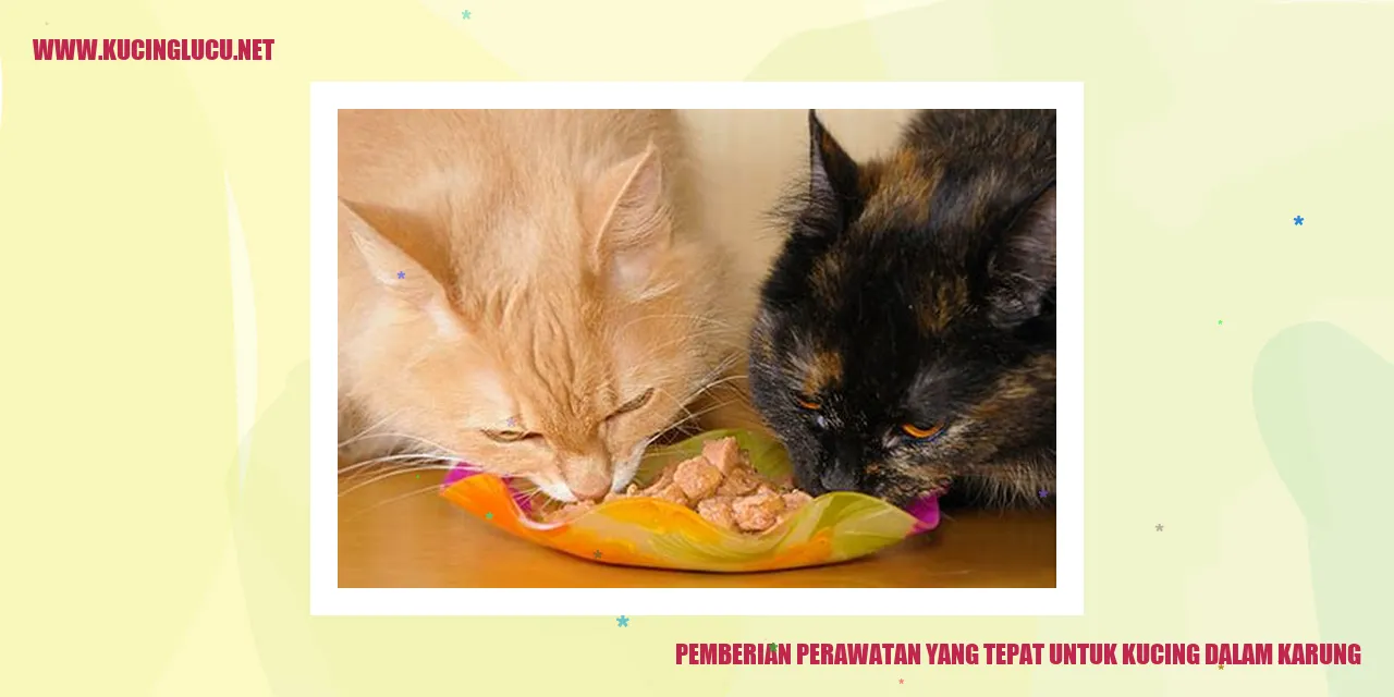 Perawatan Kucing yang Diperlukan