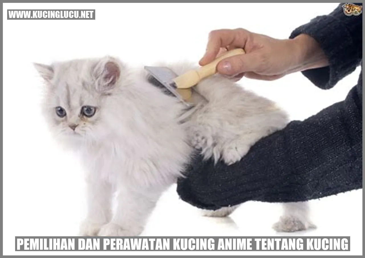Pemilihan dan Perawatan Kucing anime tentang kucing