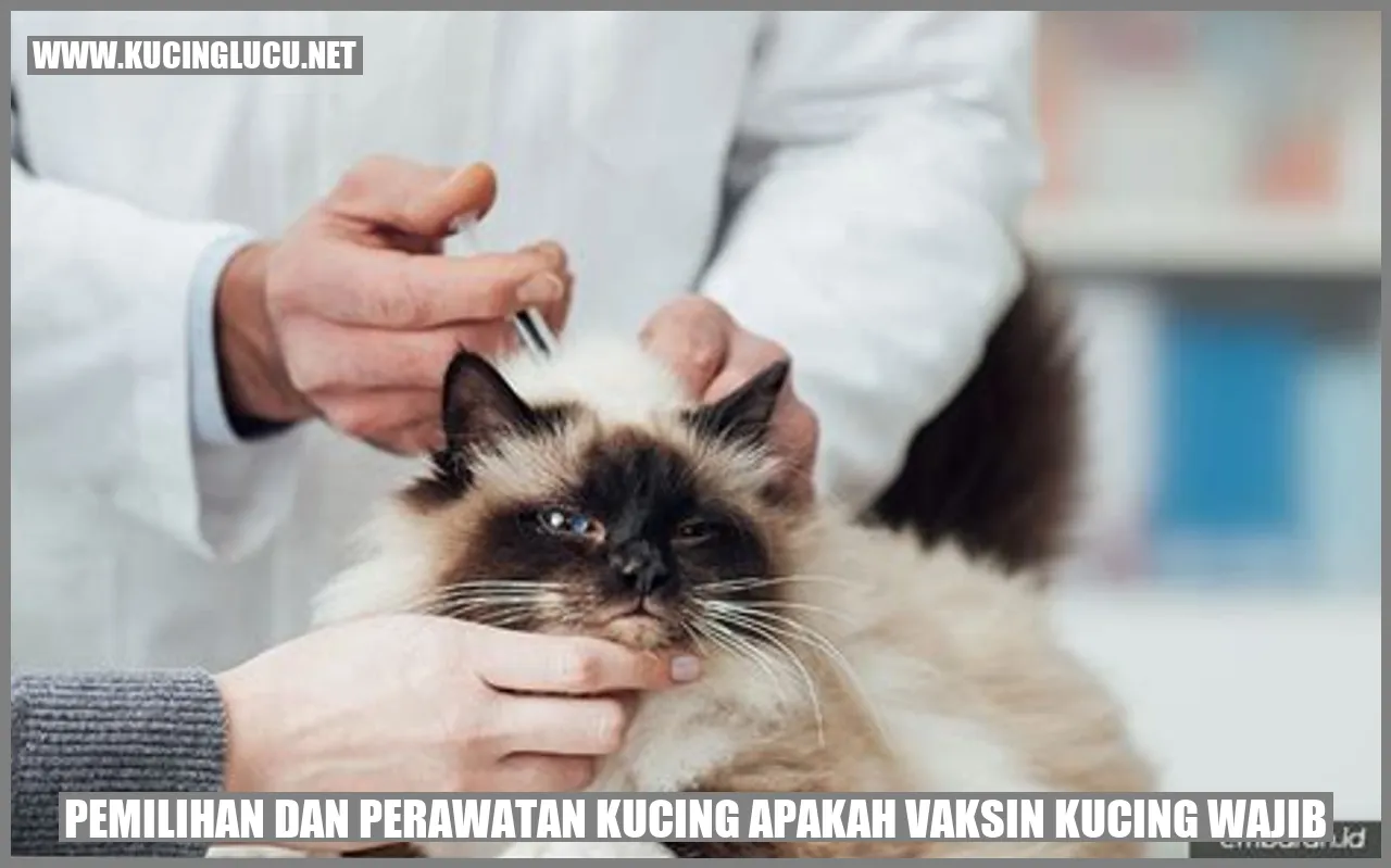 Pemilihan dan Perawatan Kucing