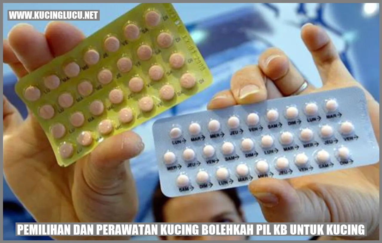 Kucing menggunakan pil KB?