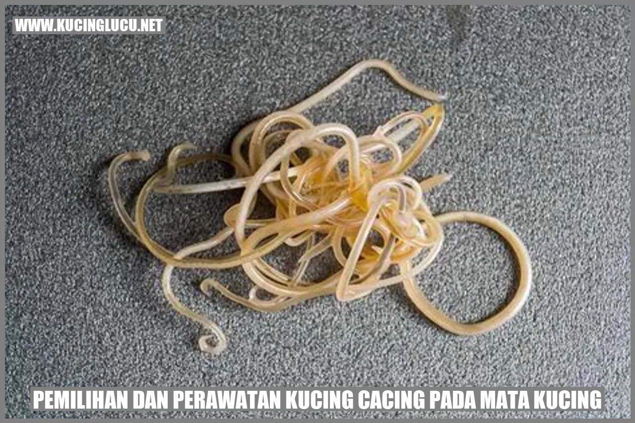 Penyakit Mata Kucing Terkait Cacing