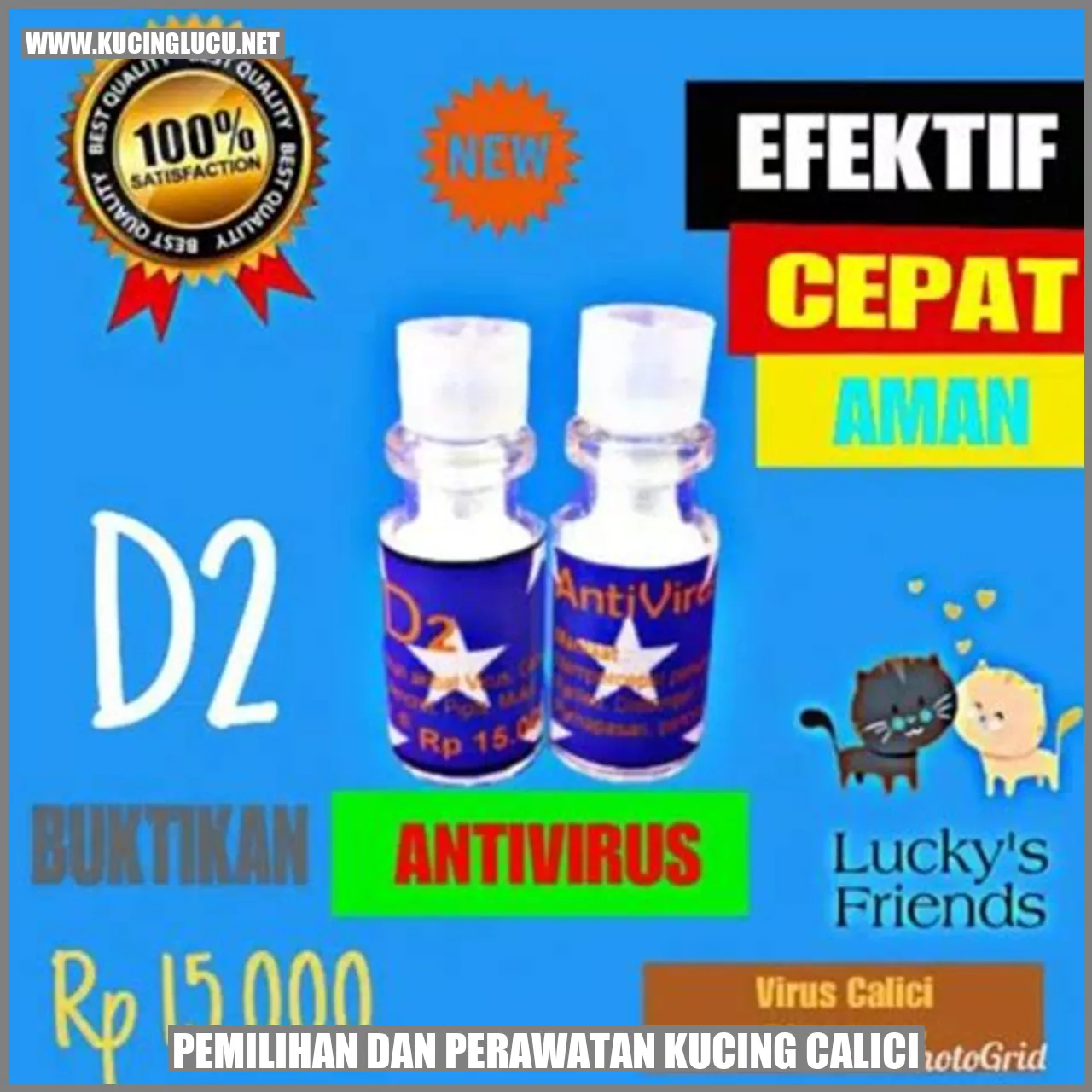 Kucing calici yang menggemaskan