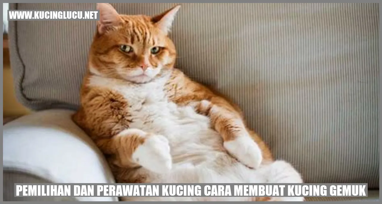 gambar kucing menggemaskan