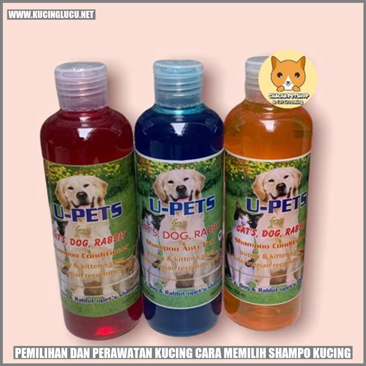 Kucing dengan shampo