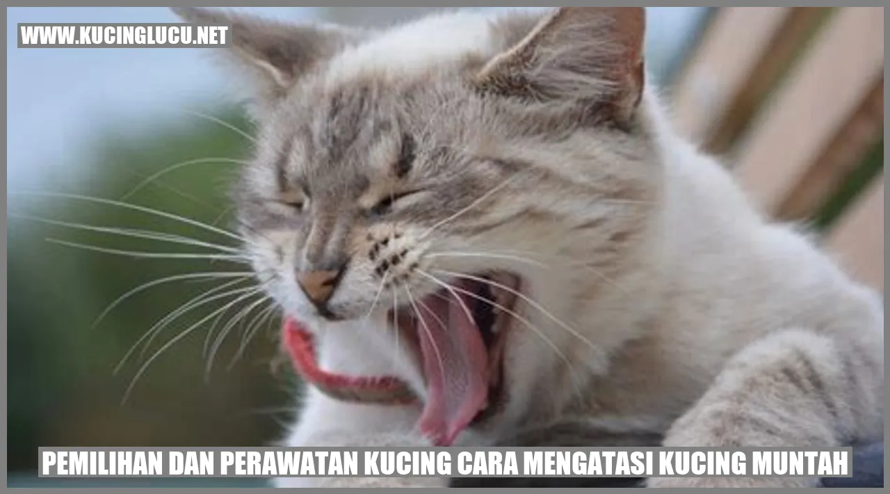 Foto Kucing Menggemaskan
