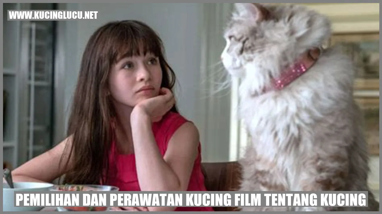 Gambar kucing pada film