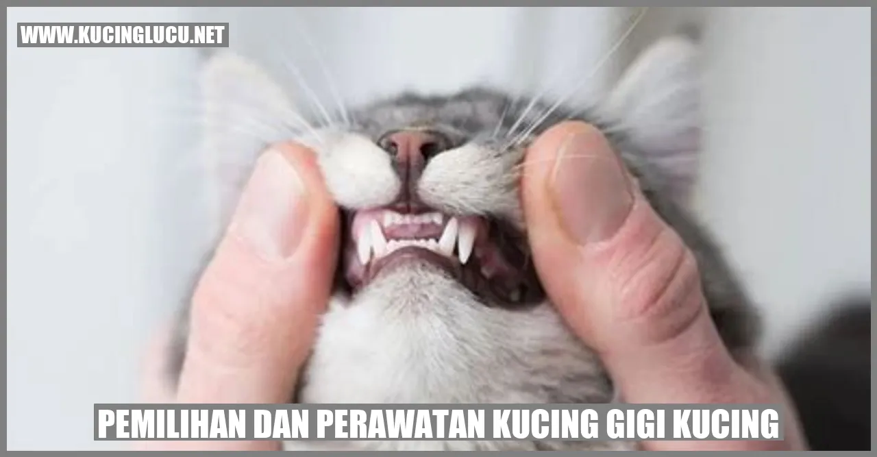 Gigi Kucing