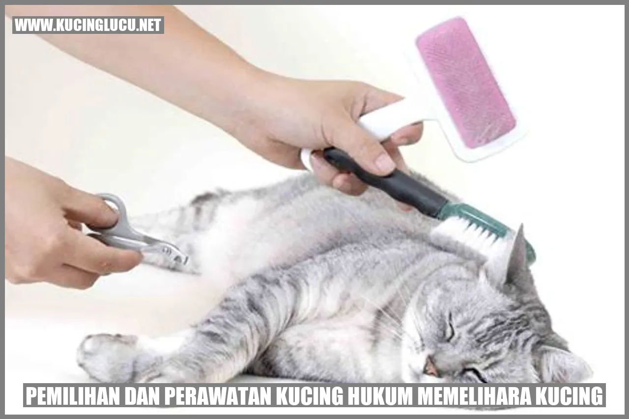Gambar kucing yang lucu
