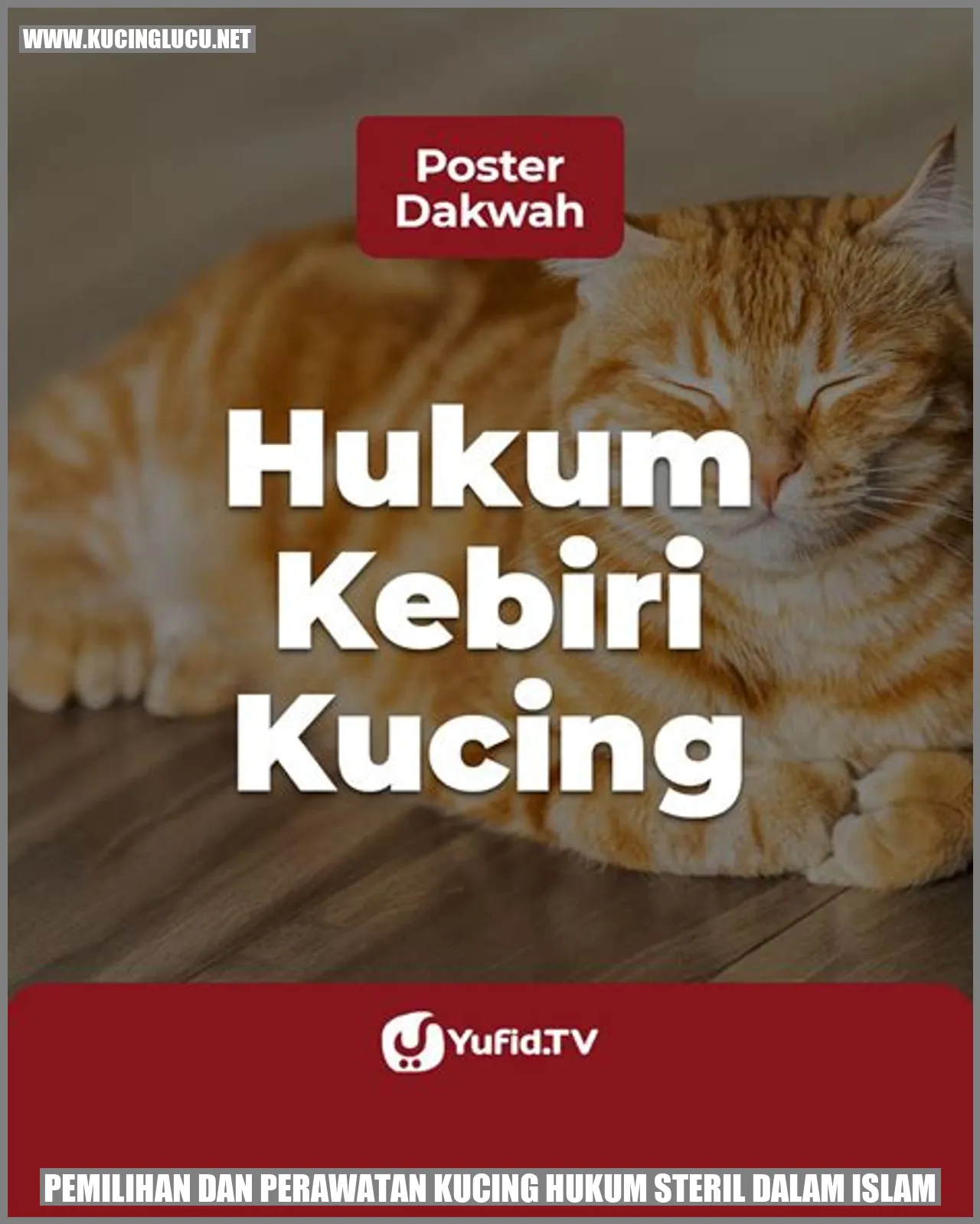 Gambar kucing yang sehat