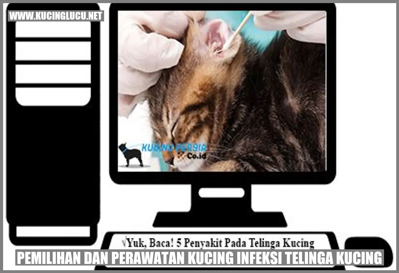 Infeksi Telinga Kucing