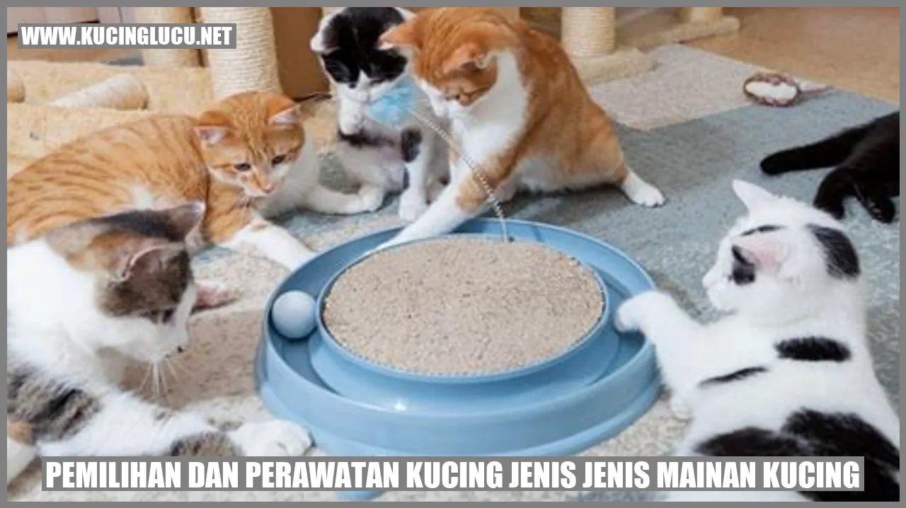Kucing Mainan