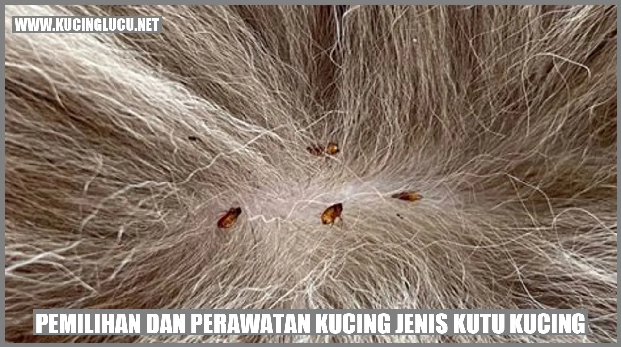 Anjing Menggigit Tulang
