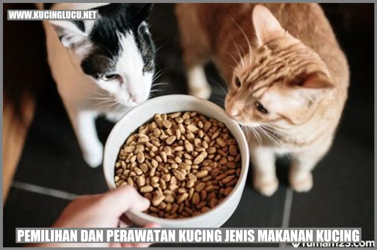 Pemilihan dan Perawatan Kucing jenis makanan kucing